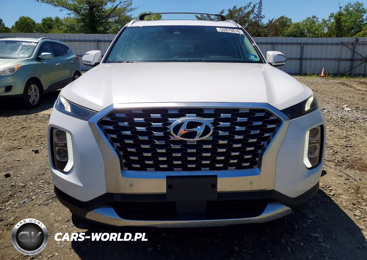 2020 Hyundai Palisade Sel VIN:KM8R3DHE7LU096272 - 5