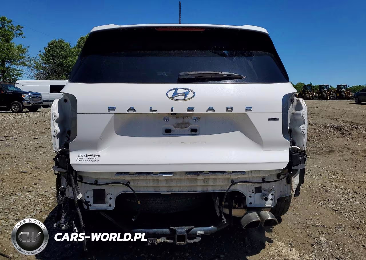2020 Hyundai Palisade Sel VIN:KM8R3DHE7LU096272 - 6