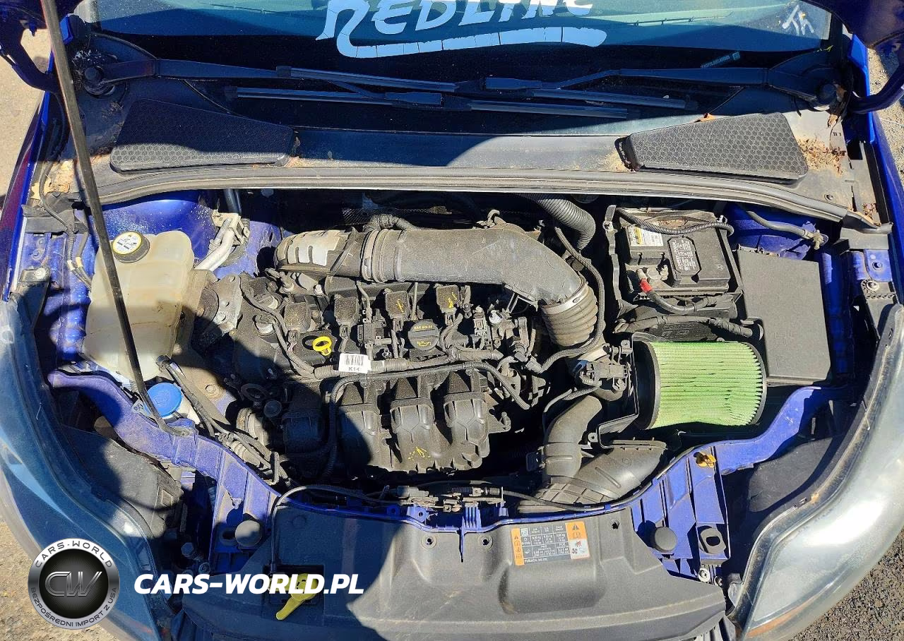 2014 Ford Focus St VIN:1FADP3L96EL456685 - 12