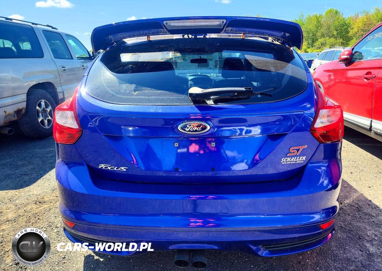 2014 Ford Focus St VIN:1FADP3L96EL456685 - 6