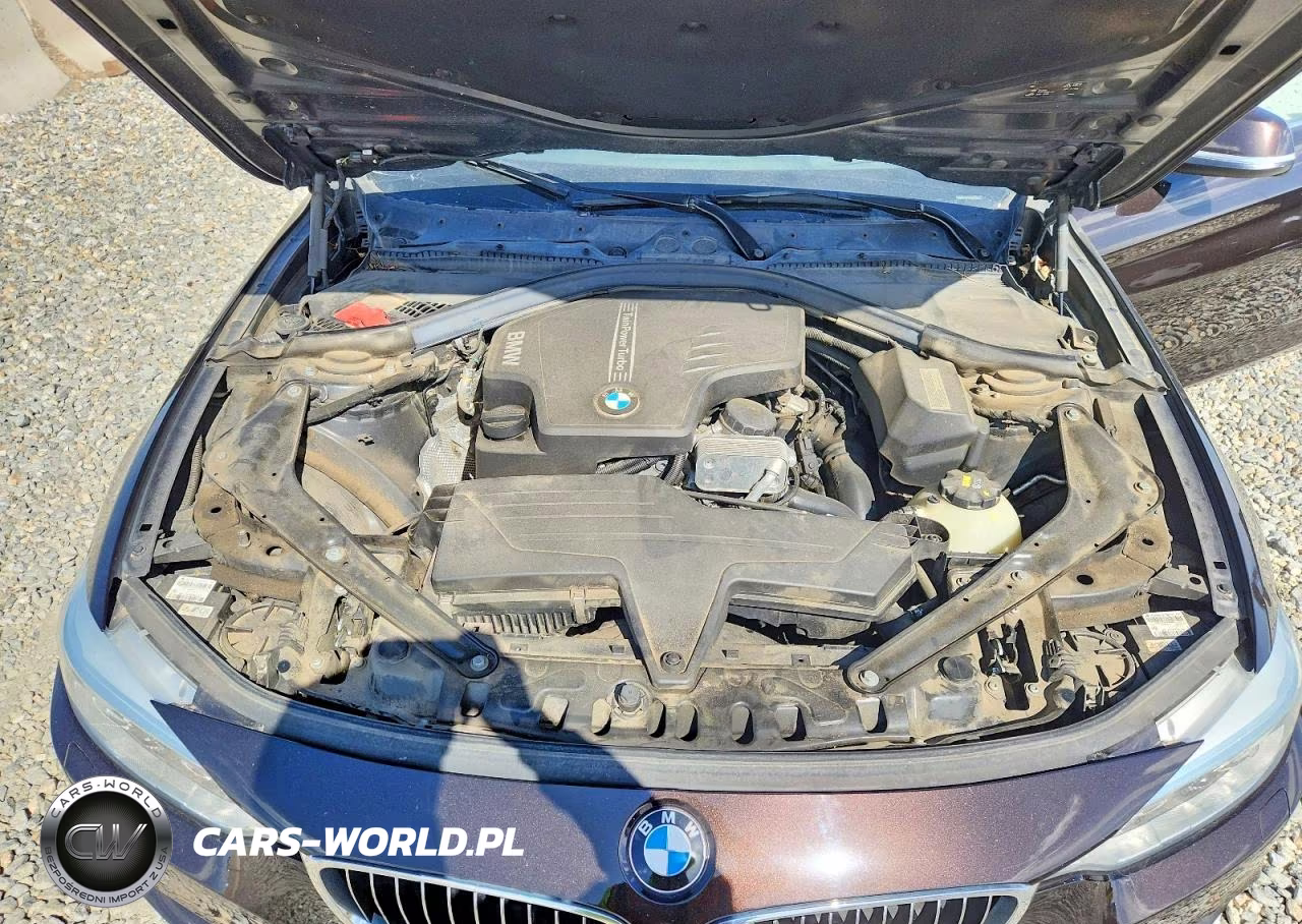 2015 BMW 428 Xi VIN:WBA3V9C58FP946628 - 11