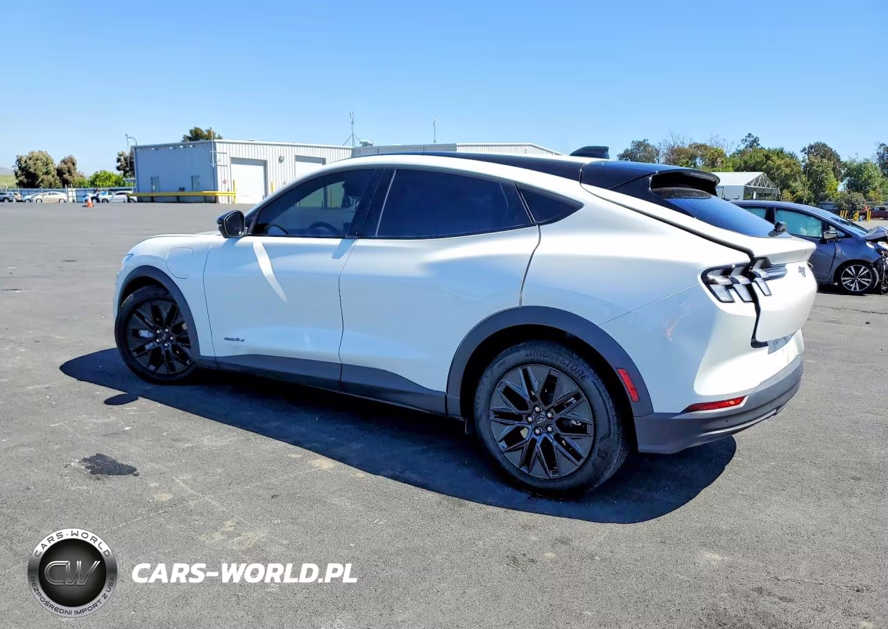 2025 Ford Mustang Mach-E Select VIN:3FMTK1R41SMA21647 - 2