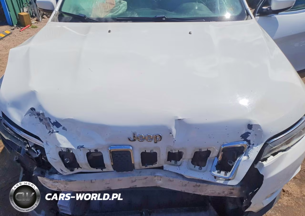 2019 Jeep Cherokee Limited VIN:1C4PJMDX2KD255688 - 11
