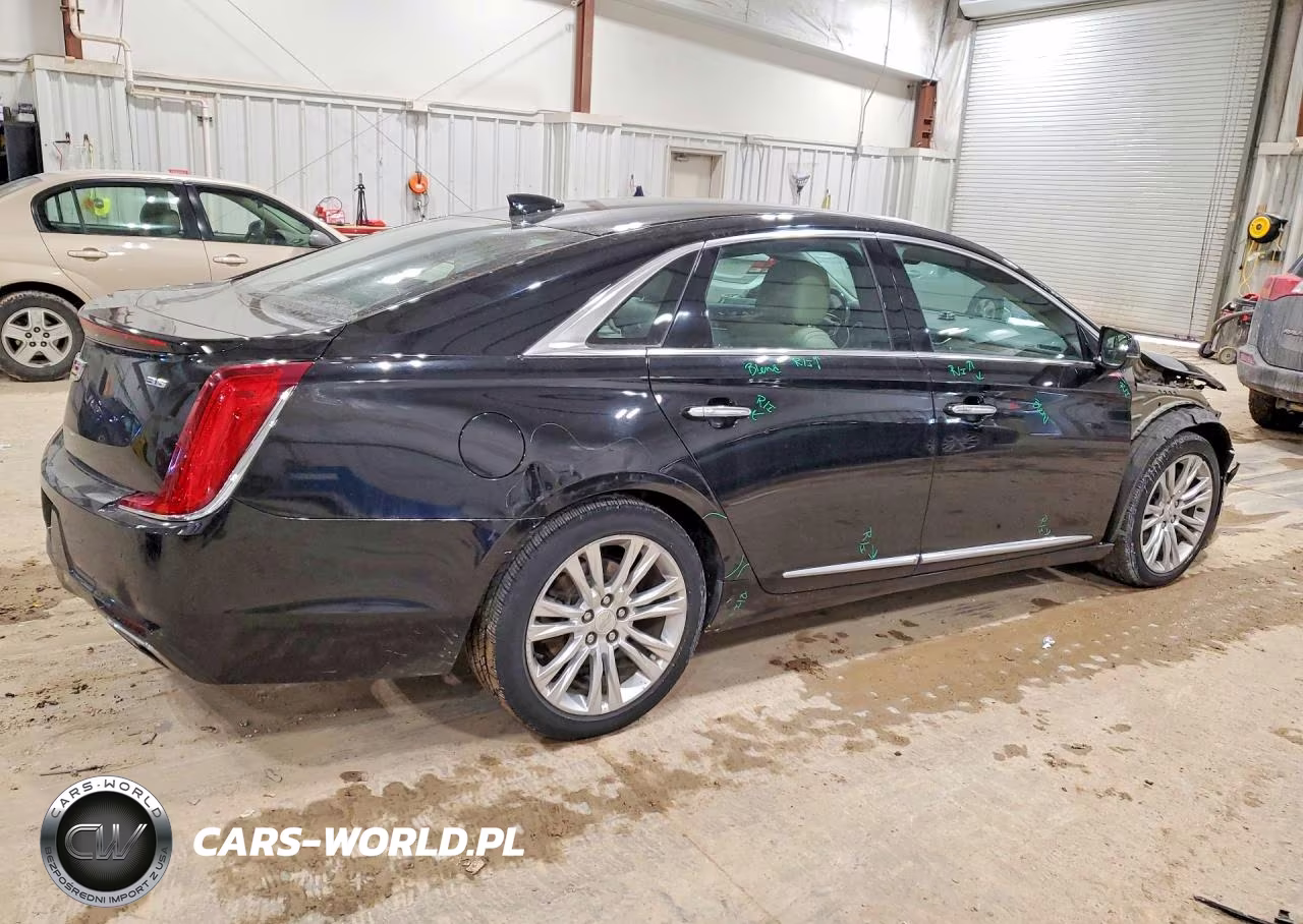 2019 Cadillac Xts Luxury VIN:2G61M5S37K9157646 - 3