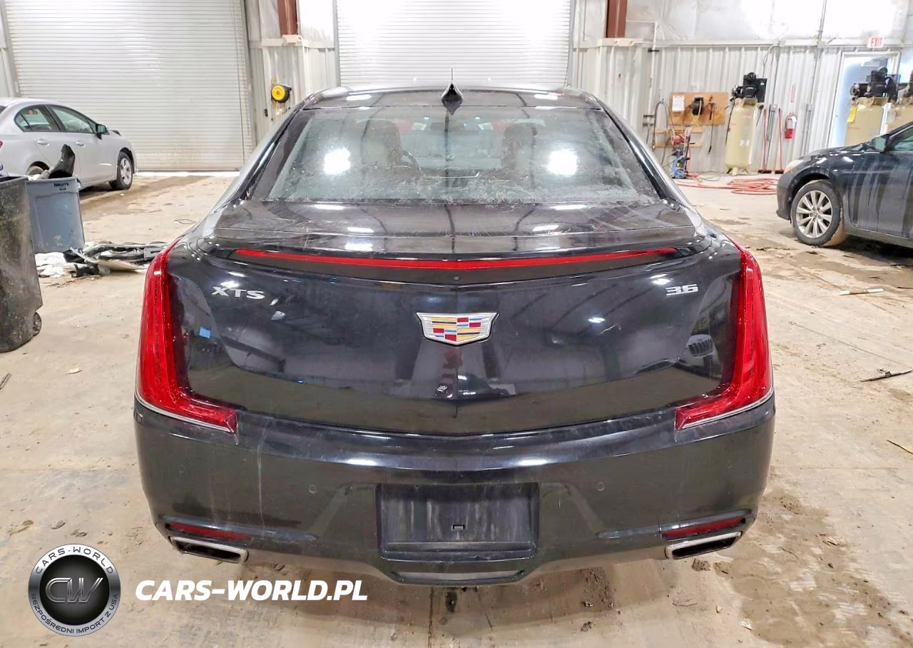2019 Cadillac Xts Luxury VIN:2G61M5S37K9157646 - 6