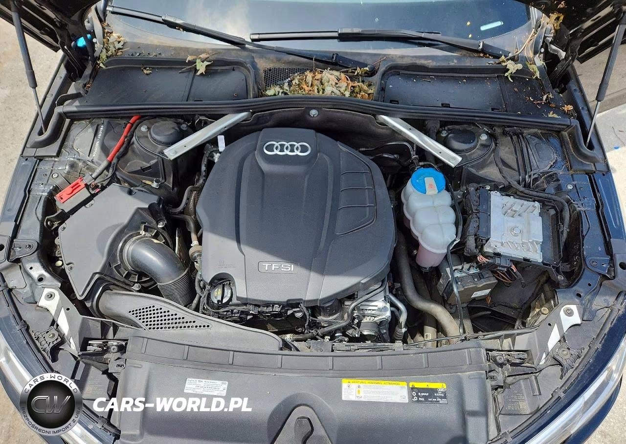 2019 Audi A4 Premium Plus VIN:WAUENAF47KA009750 - 11