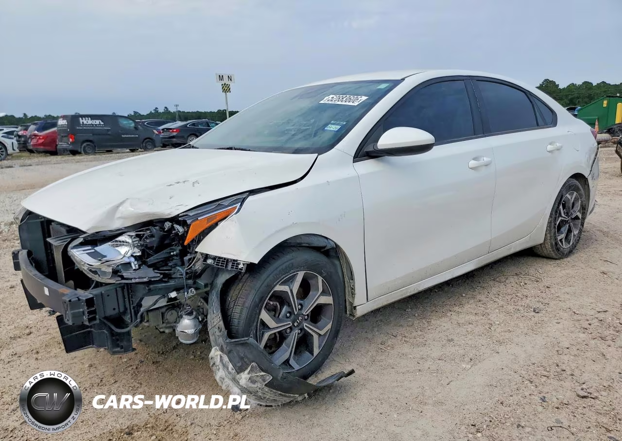 2019 Kia Forte Lxs