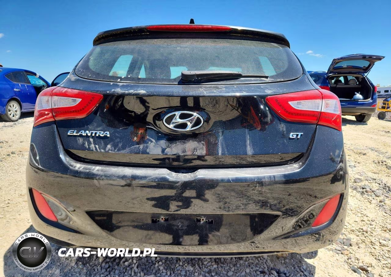 2014 Hyundai Elantra Gt Base VIN:KMHD35LHXEU171535 - 6