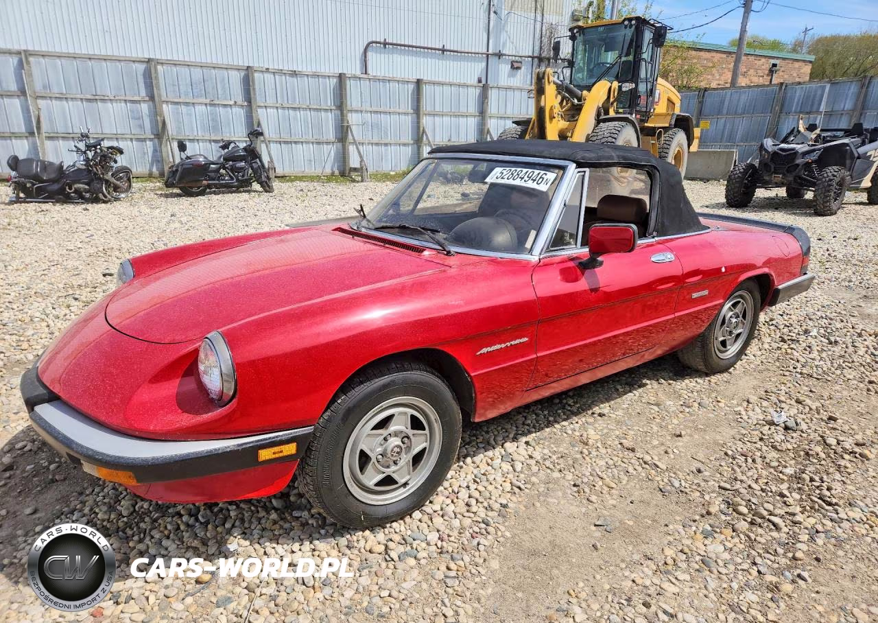 1988 Alfa Romeo Spider