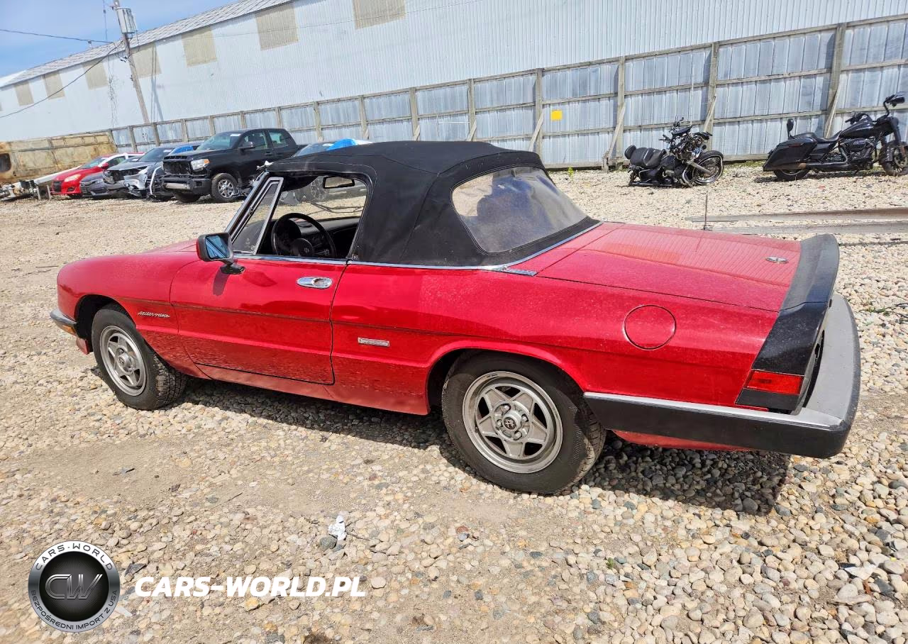 1988 Alfa Romeo Spider VIN:ZARBA5586J1058147 - 2