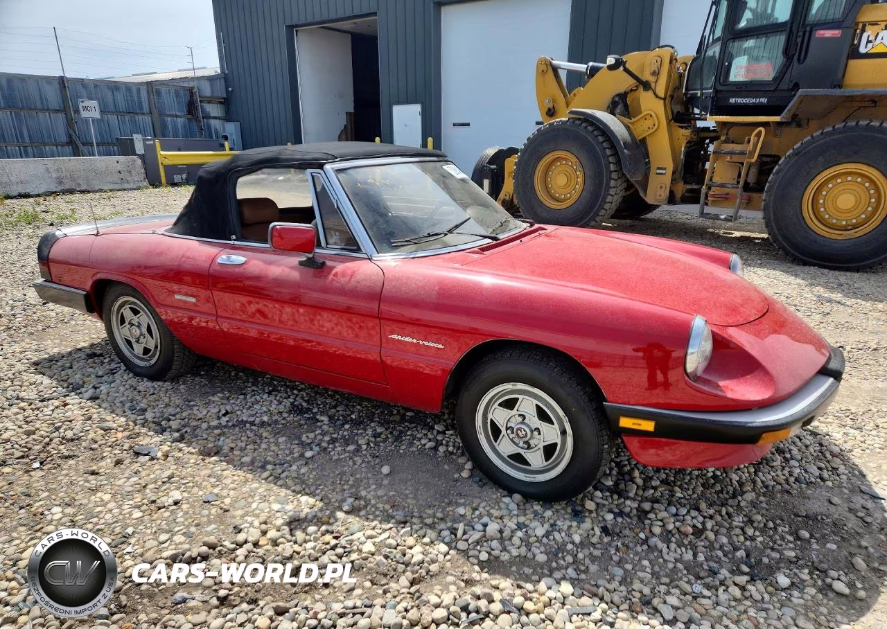 1988 Alfa Romeo Spider VIN:ZARBA5586J1058147 - 4