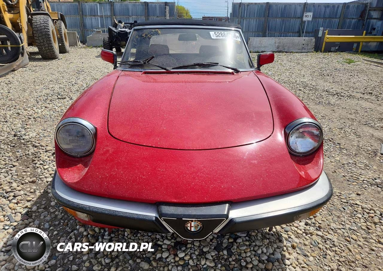1988 Alfa Romeo Spider VIN:ZARBA5586J1058147 - 5