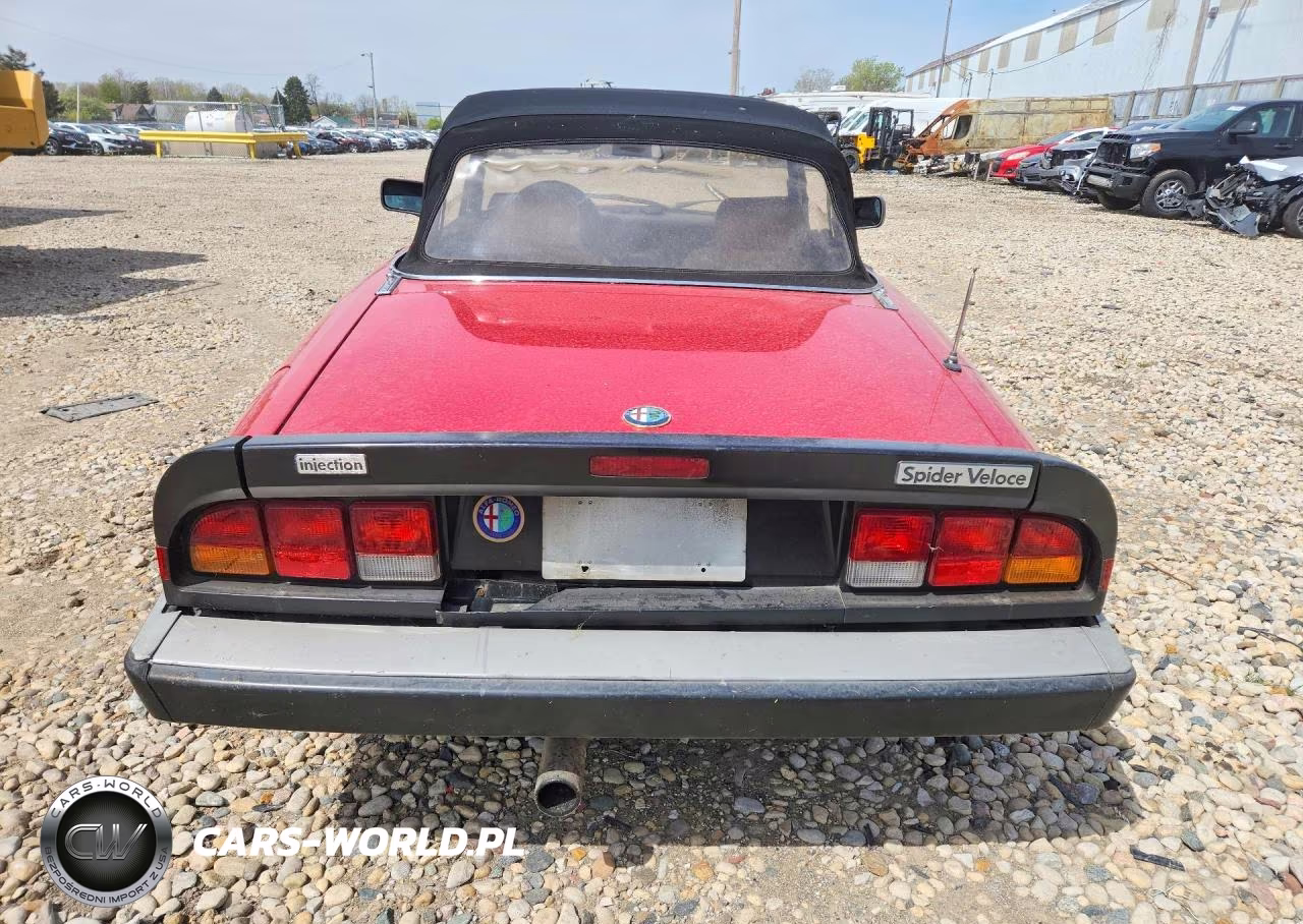 1988 Alfa Romeo Spider VIN:ZARBA5586J1058147 - 6