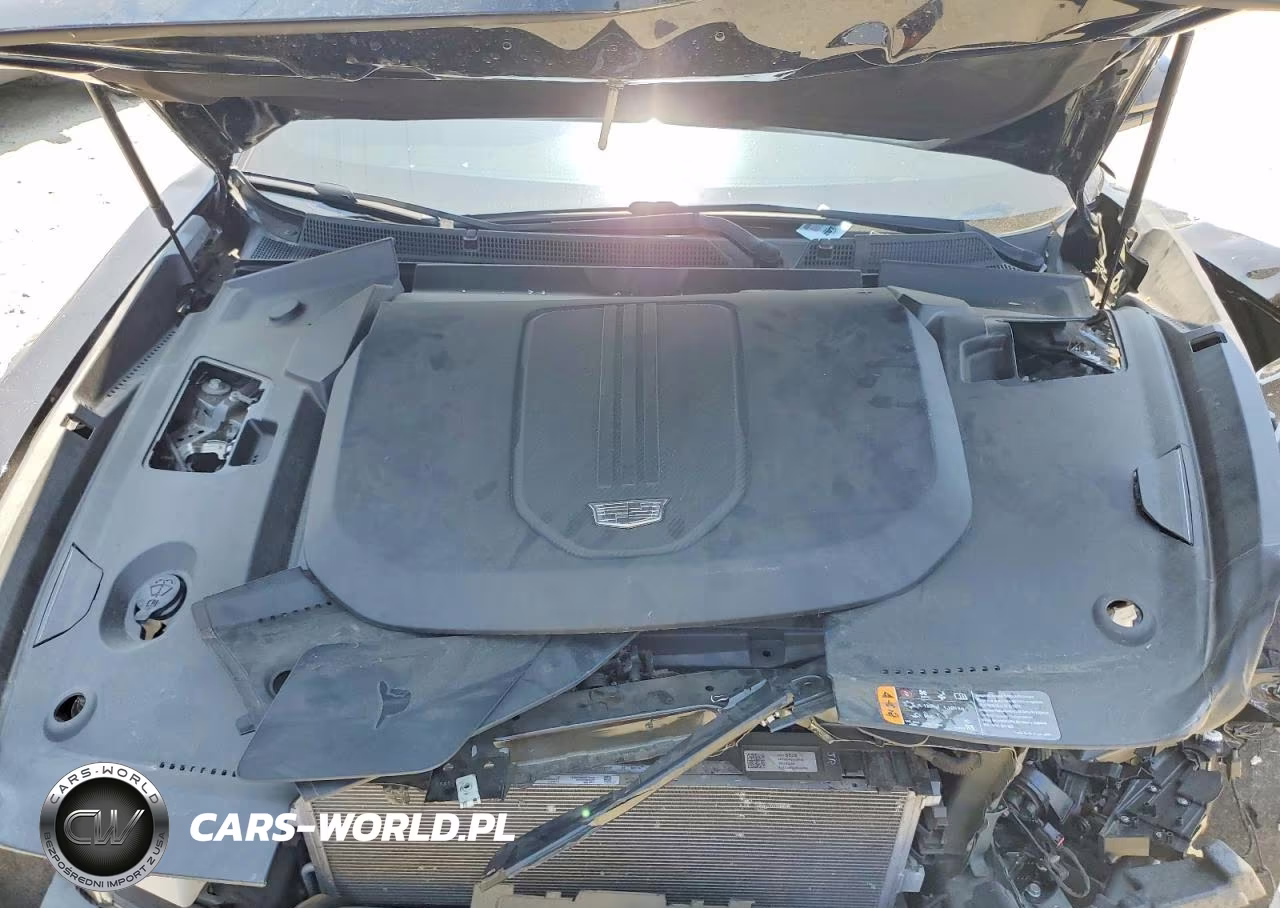2024 Cadillac Lyriq Luxury VIN:1GYKPPRK1RZ115940 - 12