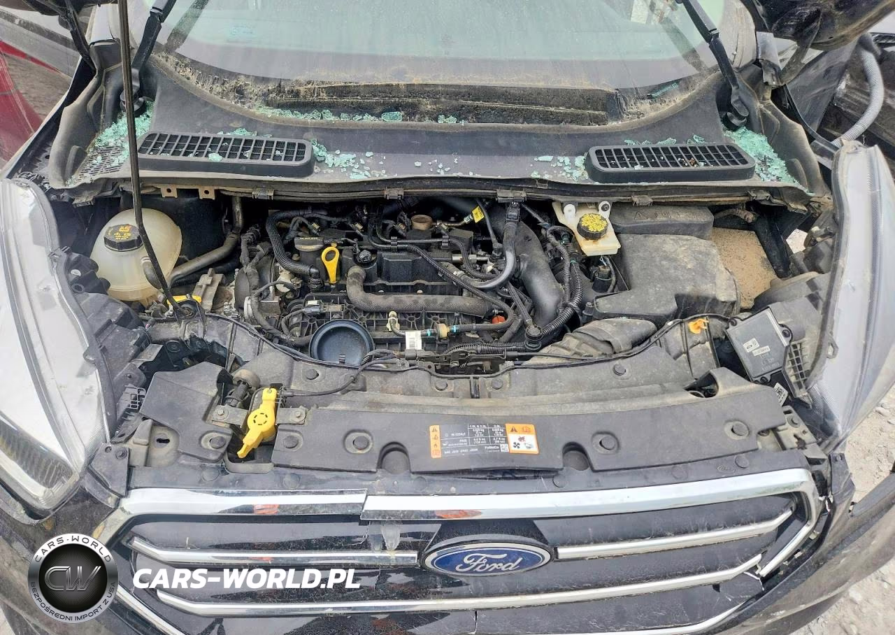 2019 Ford Escape Se VIN:1FMCU9GD1KUC57447 - 11