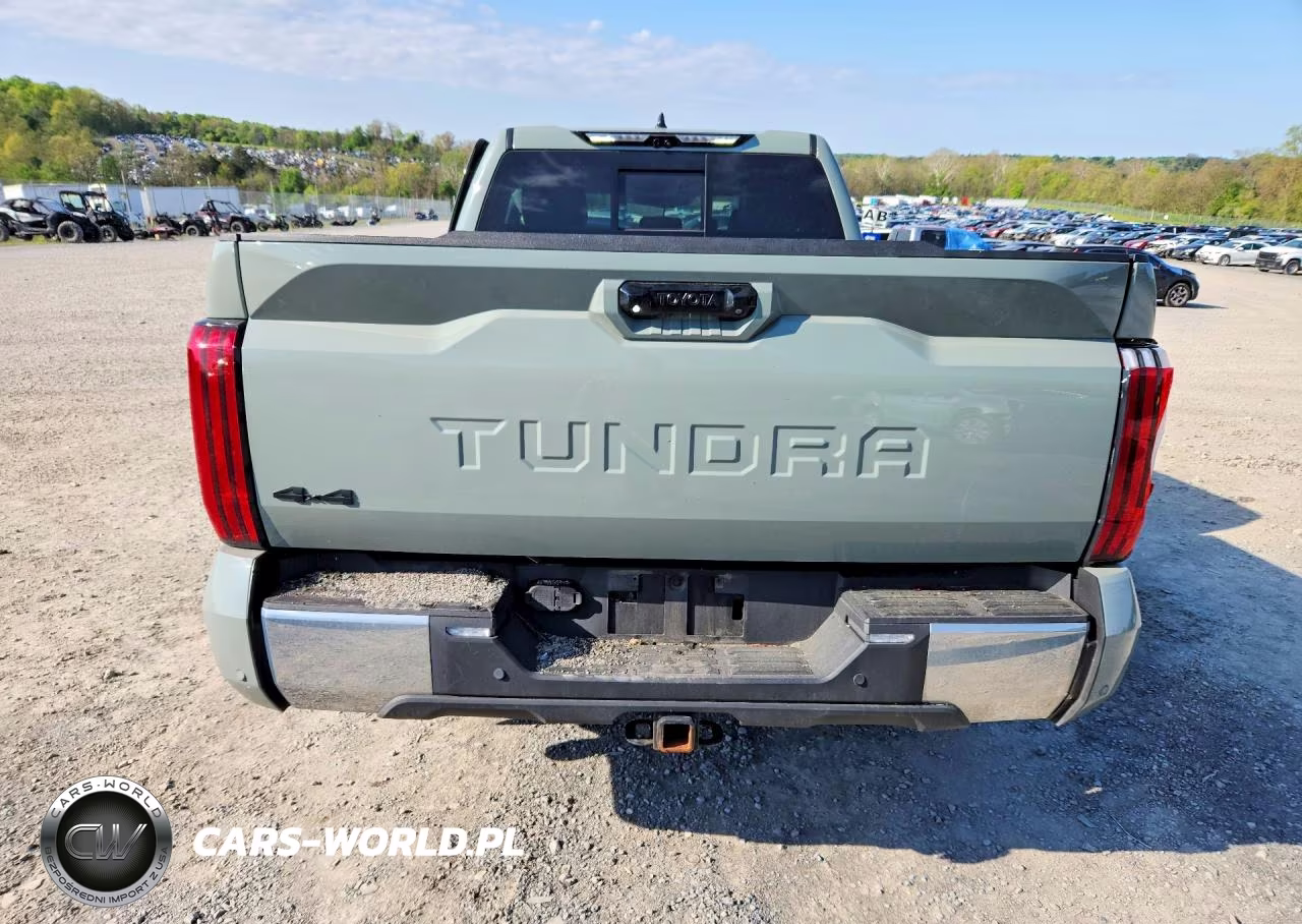 2022 Toyota Tundra Sr5 VIN:5TFLA5DA8NX006962 - 6