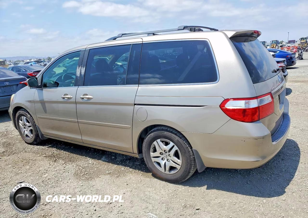 2005 Honda Odyssey Exl VIN:5FNRL38625B409909 - 2