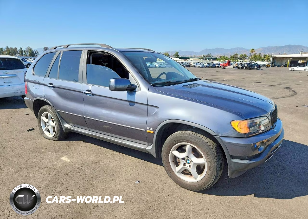 2003 BMW X5 3.0I VIN:5UXFA53513LV98757 - 4