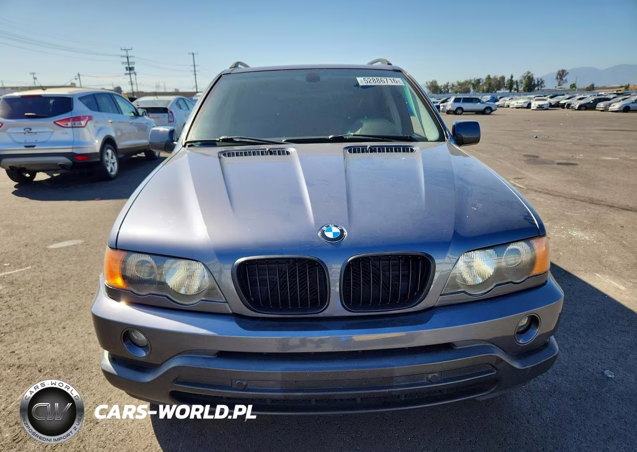 2003 BMW X5 3.0I VIN:5UXFA53513LV98757 - 5