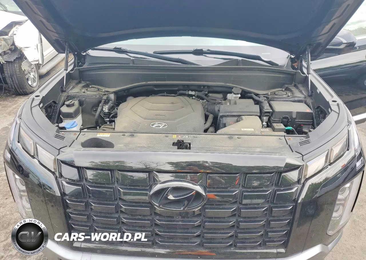 2023 Hyundai Palisade Sel Premium VIN:KM8R4DGE8PU637110 - 12
