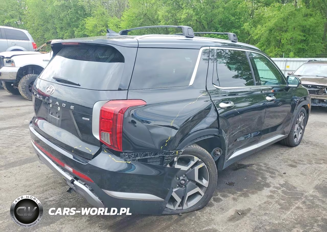 2023 Hyundai Palisade Sel Premium VIN:KM8R4DGE8PU637110 - 3