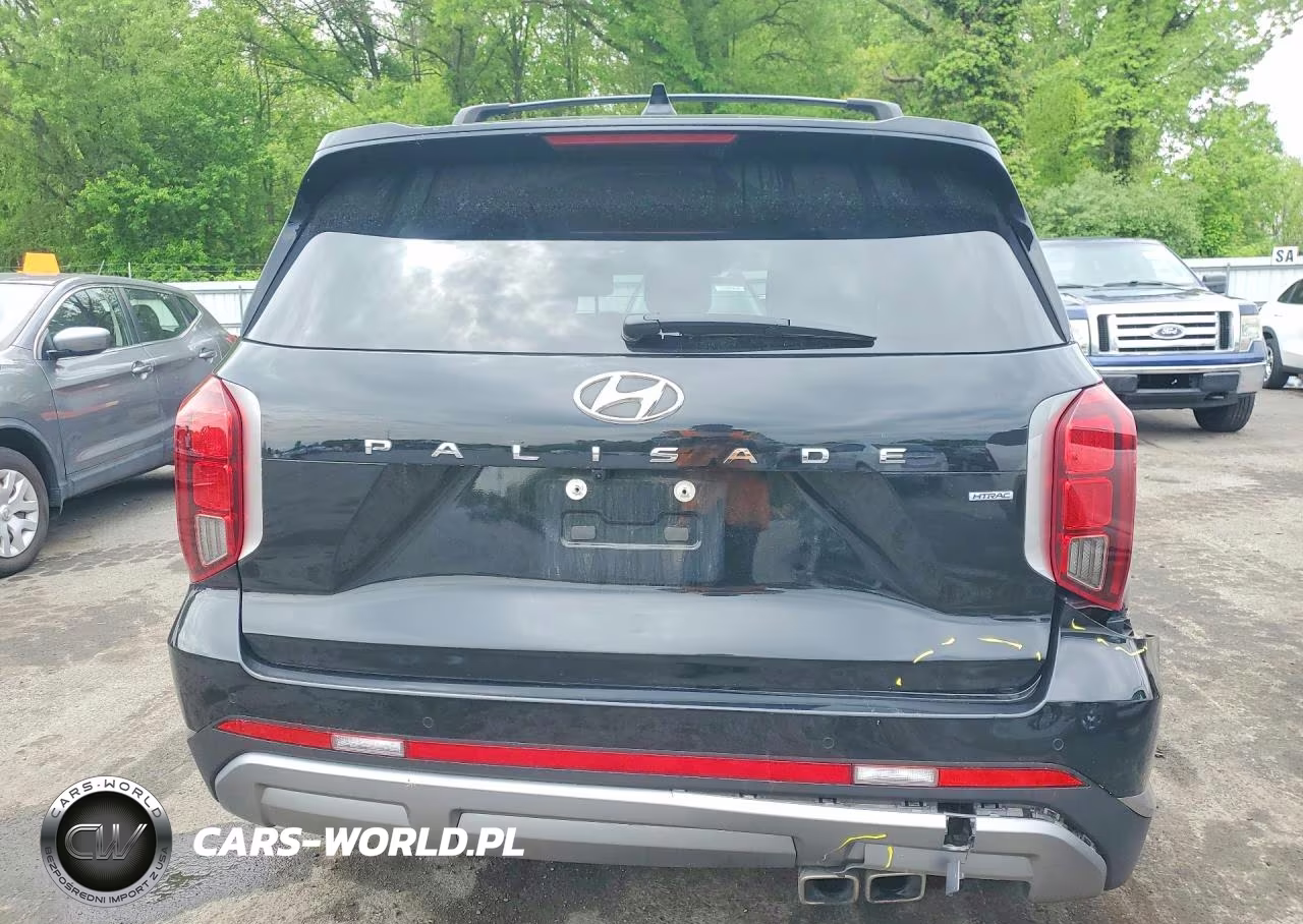 2023 Hyundai Palisade Sel Premium VIN:KM8R4DGE8PU637110 - 6