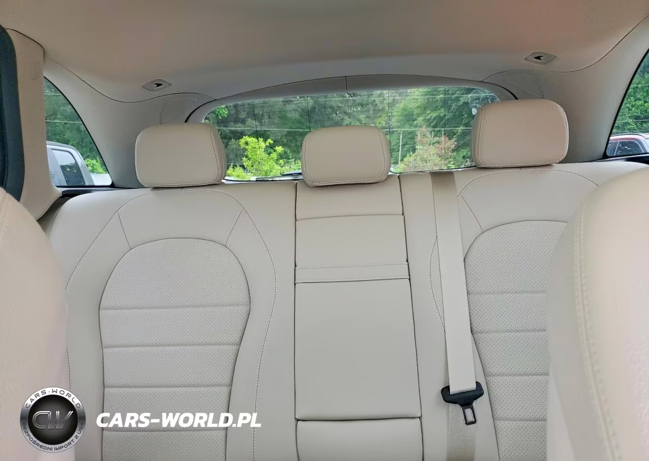 2020 Mercedes-Benz Glc 300 VIN:W1N0G8DB2LF786786 - 10