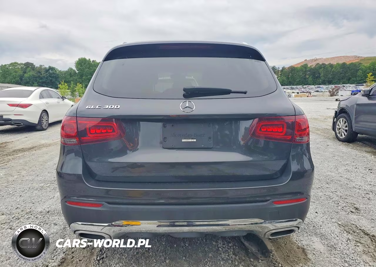 2020 Mercedes-Benz Glc 300 VIN:W1N0G8DB2LF786786 - 6