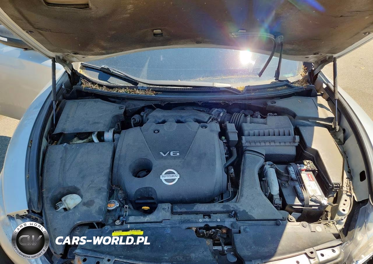 2009 Nissan Maxima 3.5 S VIN:1N4AA51E89C858360 - 11