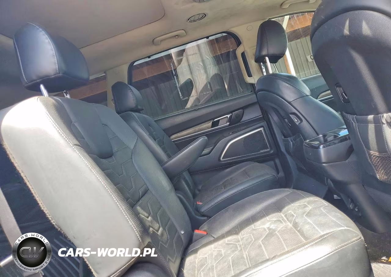 2020 Kia Telluride Sx VIN:5XYP5DHC4LG004489 - 11