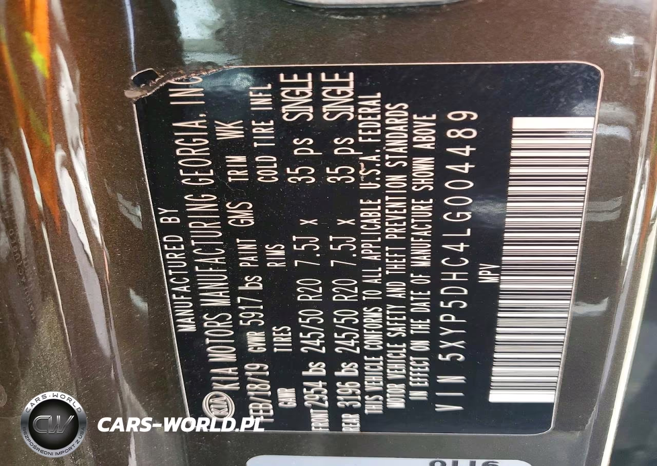 2020 Kia Telluride Sx VIN:5XYP5DHC4LG004489 - 13