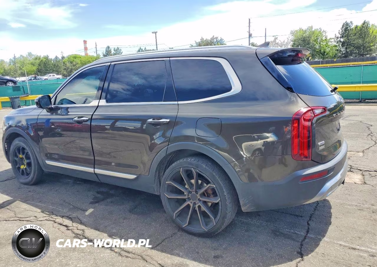 2020 Kia Telluride Sx VIN:5XYP5DHC4LG004489 - 2