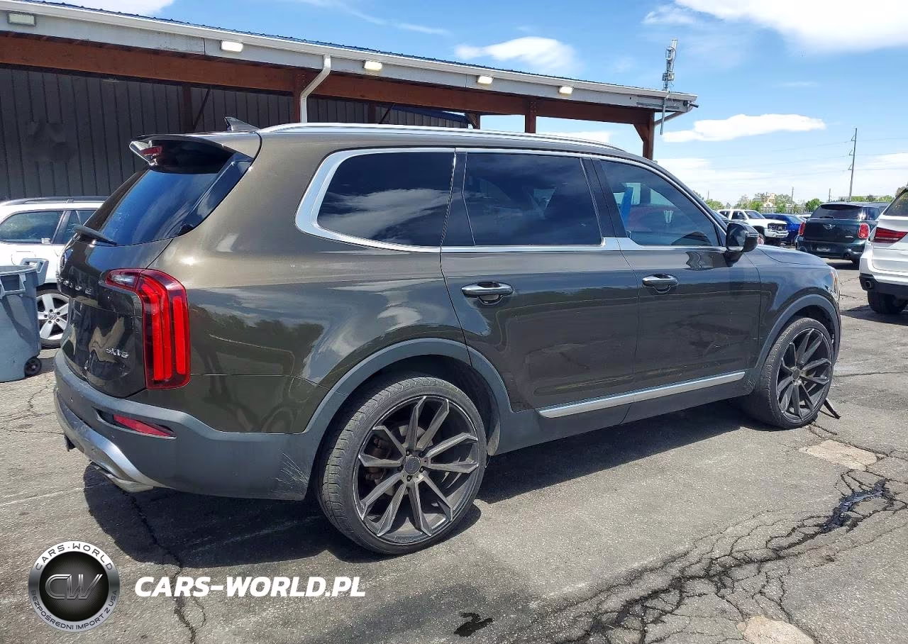 2020 Kia Telluride Sx VIN:5XYP5DHC4LG004489 - 3