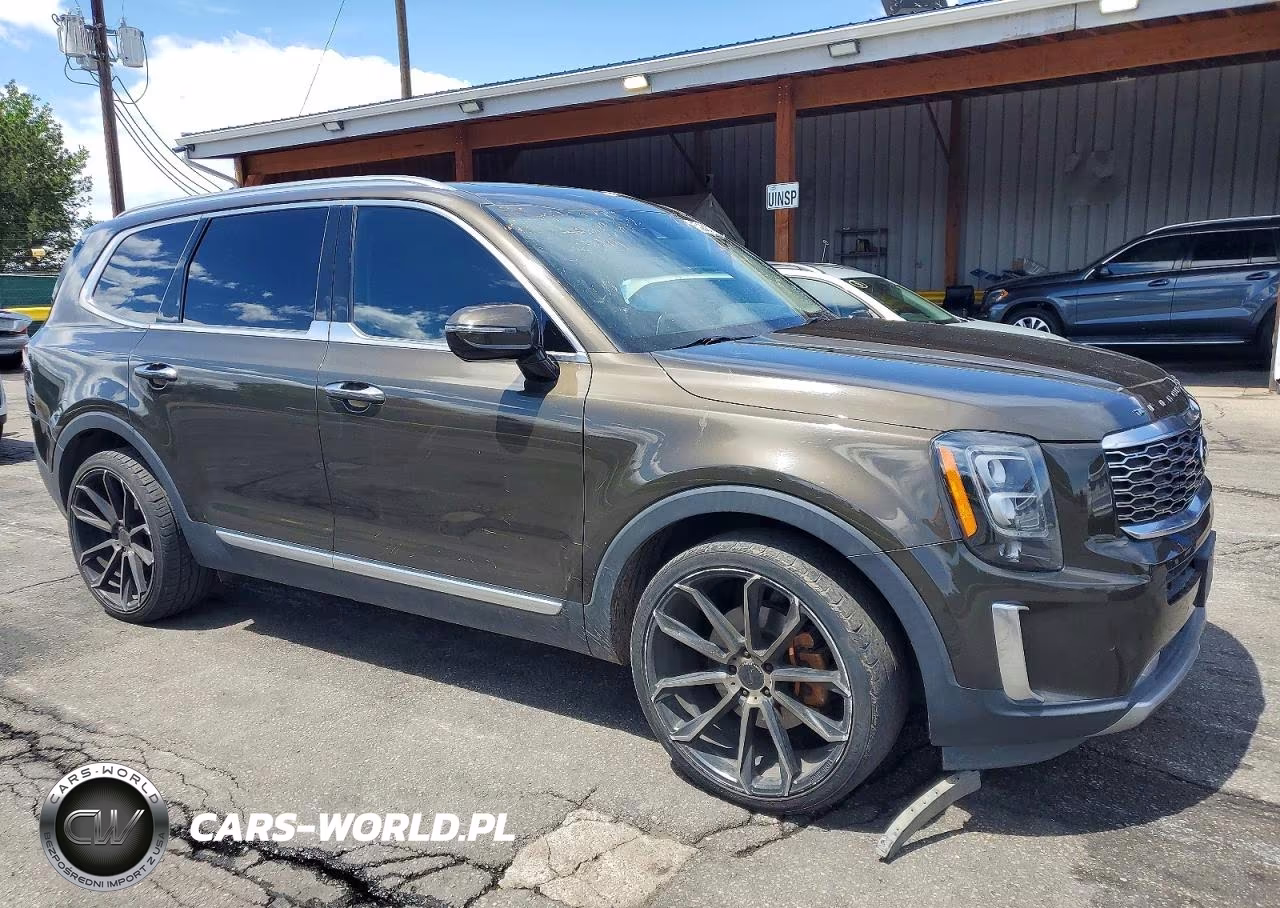 2020 Kia Telluride Sx VIN:5XYP5DHC4LG004489 - 4
