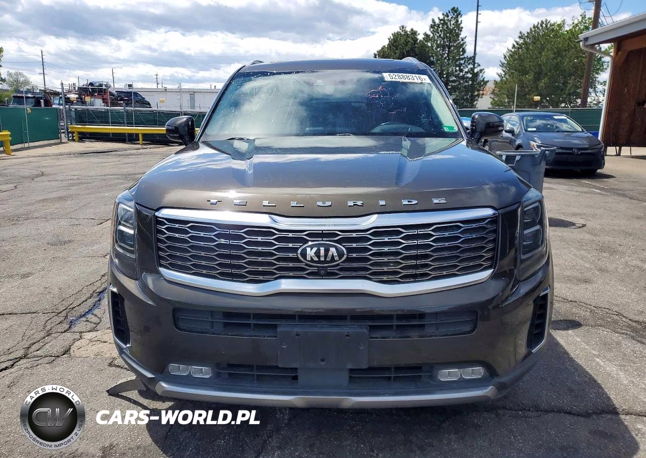 2020 Kia Telluride Sx VIN:5XYP5DHC4LG004489 - 5
