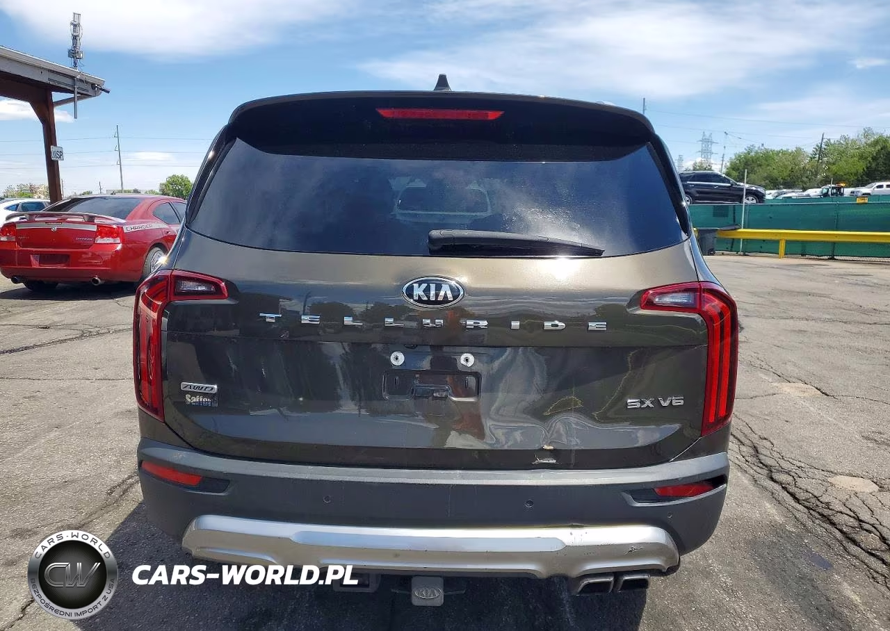 2020 Kia Telluride Sx VIN:5XYP5DHC4LG004489 - 6