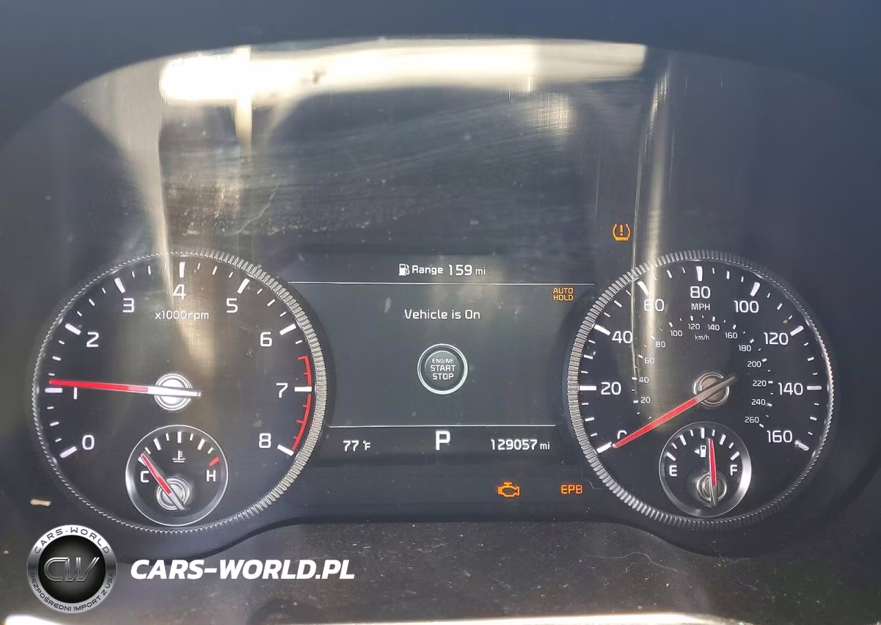 2020 Kia Telluride Sx VIN:5XYP5DHC4LG004489 - 9