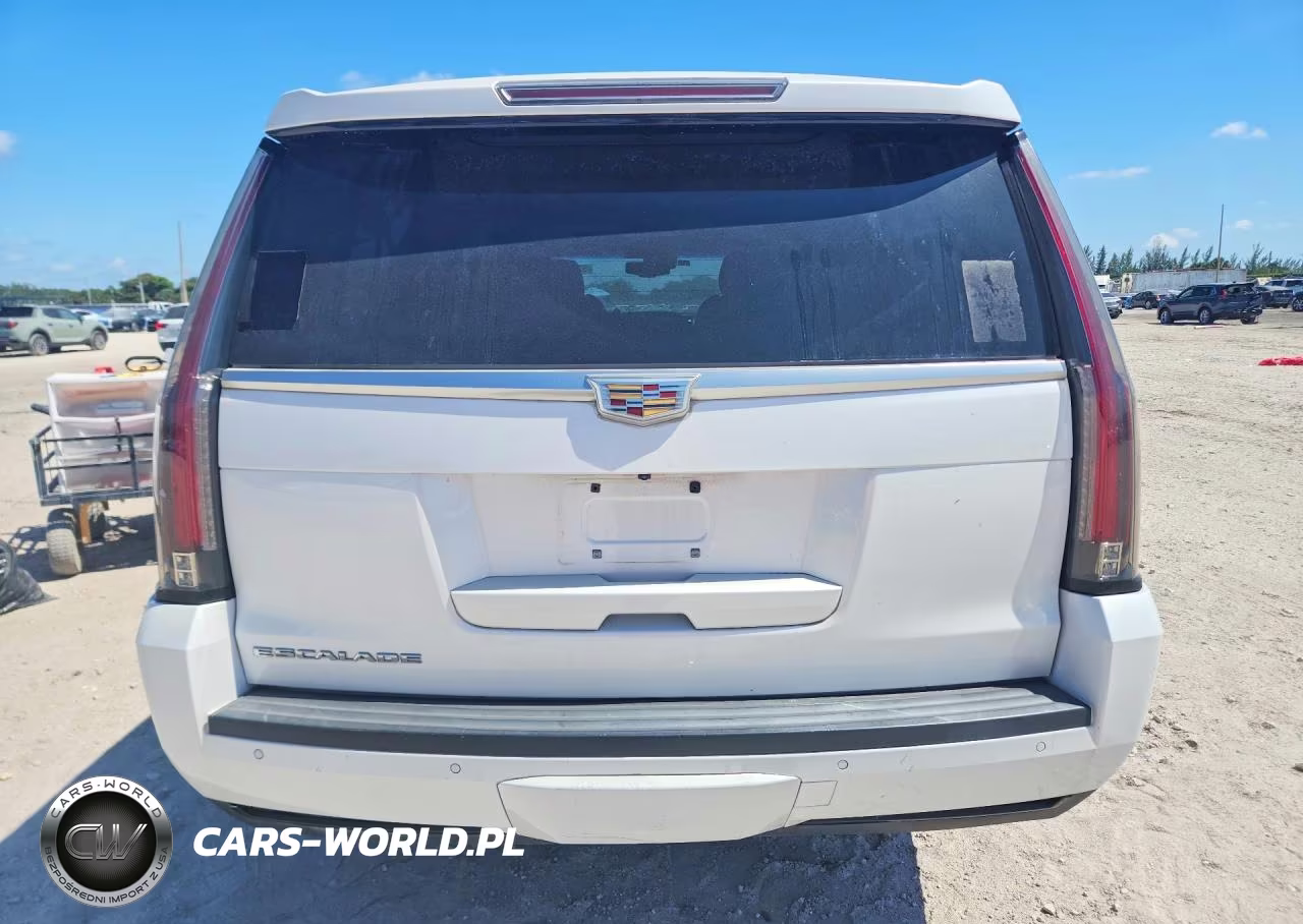 2016 Cadillac Escalade Esv Premium VIN:1GYS3JKJ1GR267966 - 6