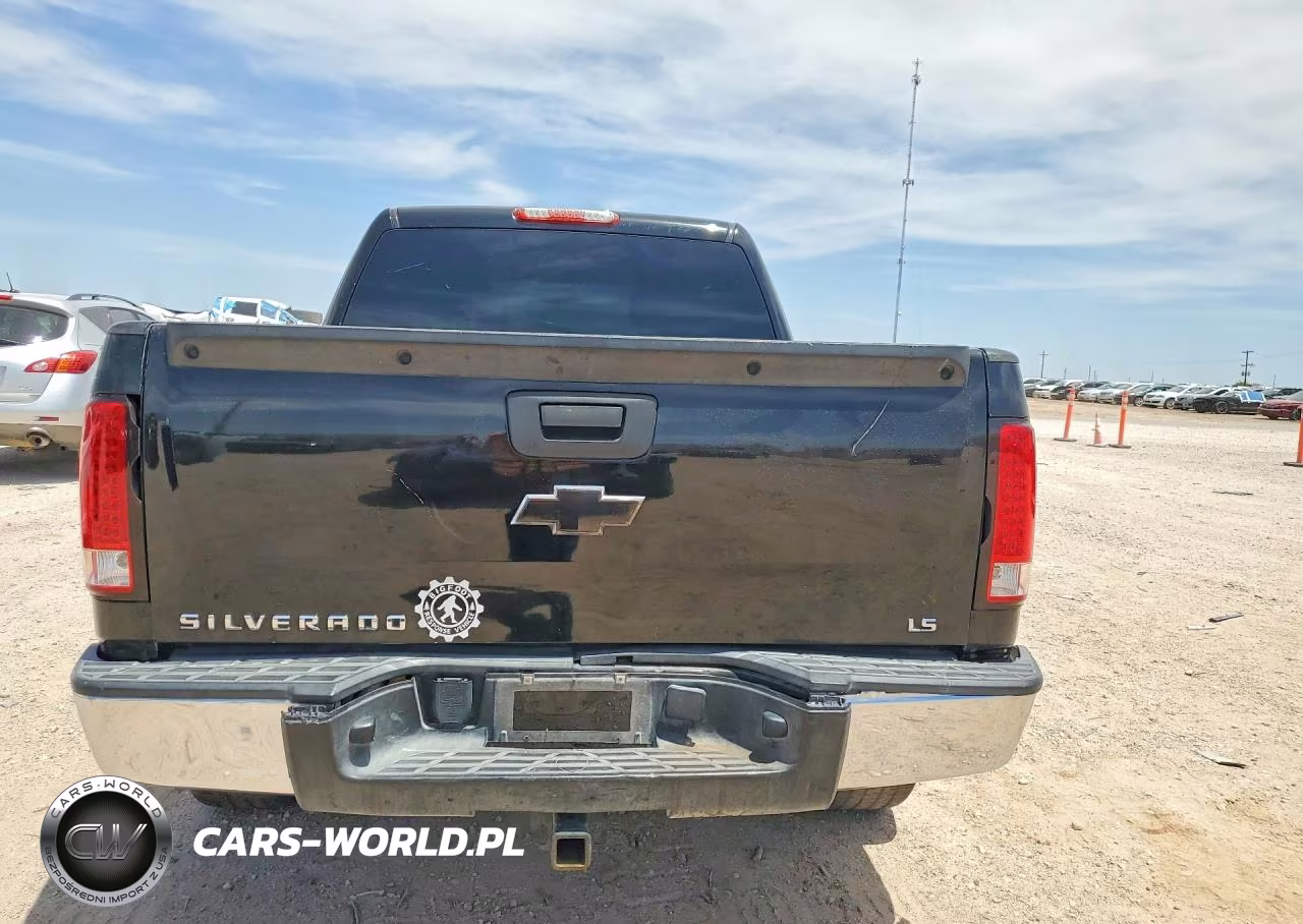 2013 Chevrolet Silverado C1500 Ls VIN:3GCPCREA4DG185957 - 6
