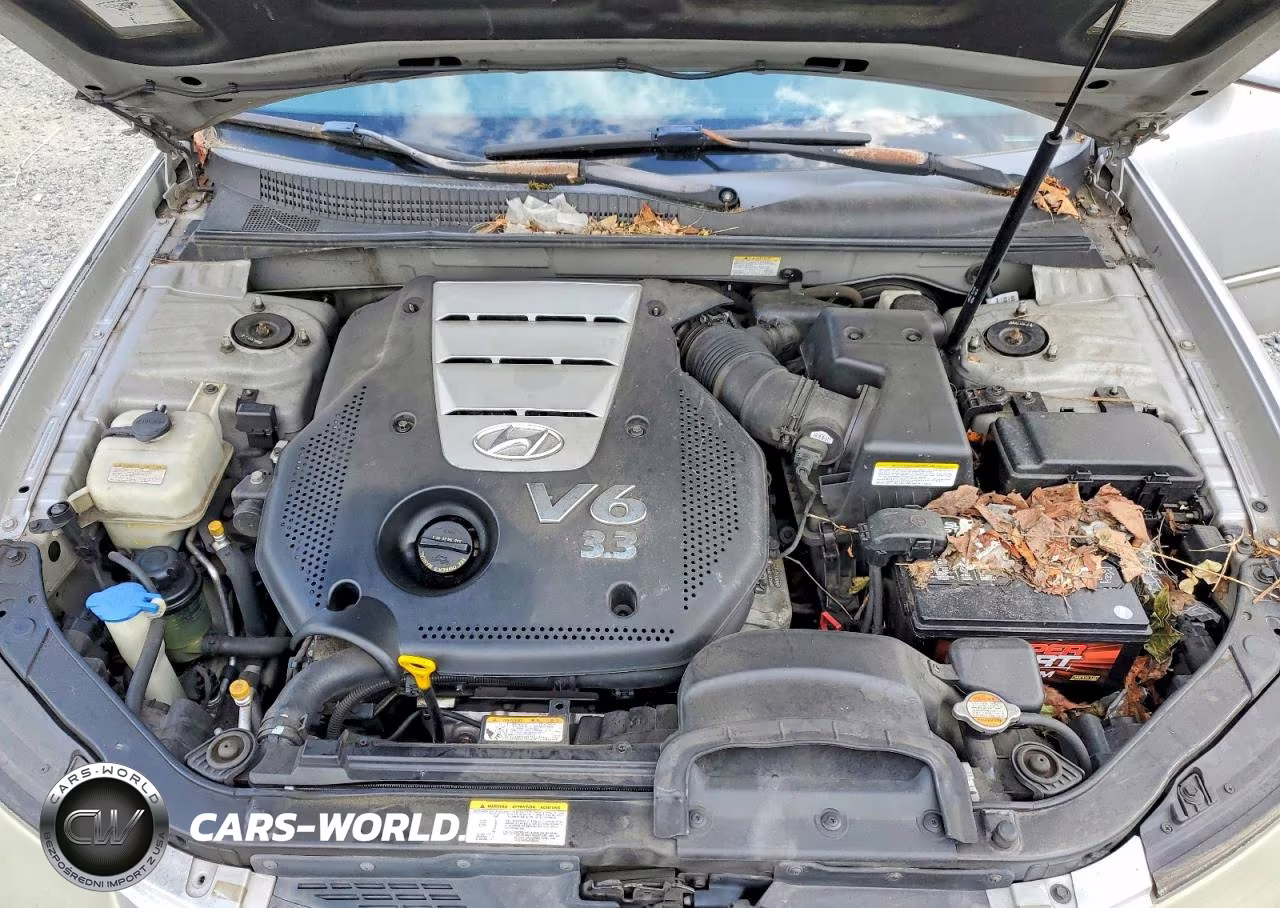 2007 Hyundai Sonata Se VIN:5NPEU46F87H168107 - 11