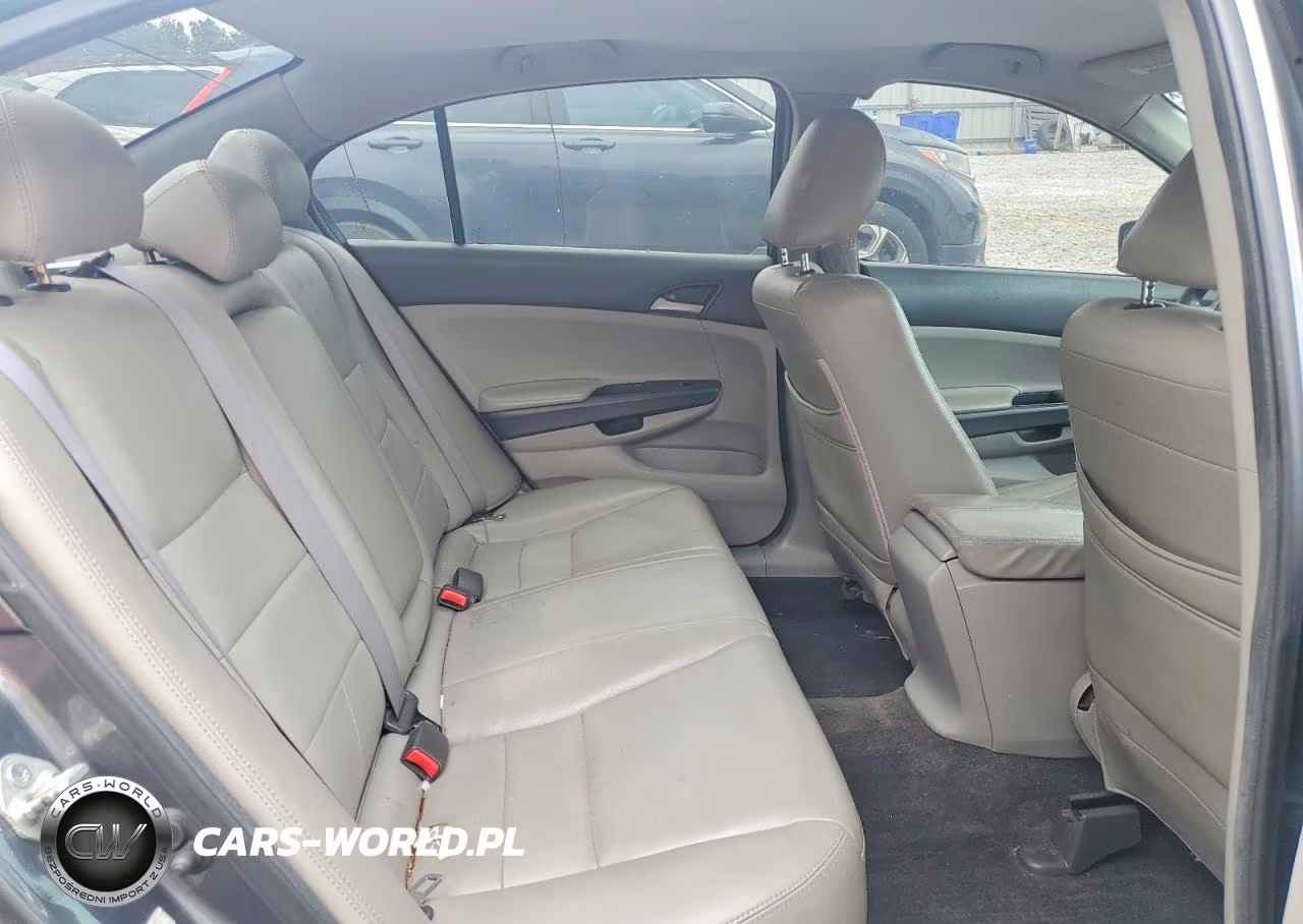 2010 Honda Accord Lxp VIN:1HGCP2F47AA080859 - 10