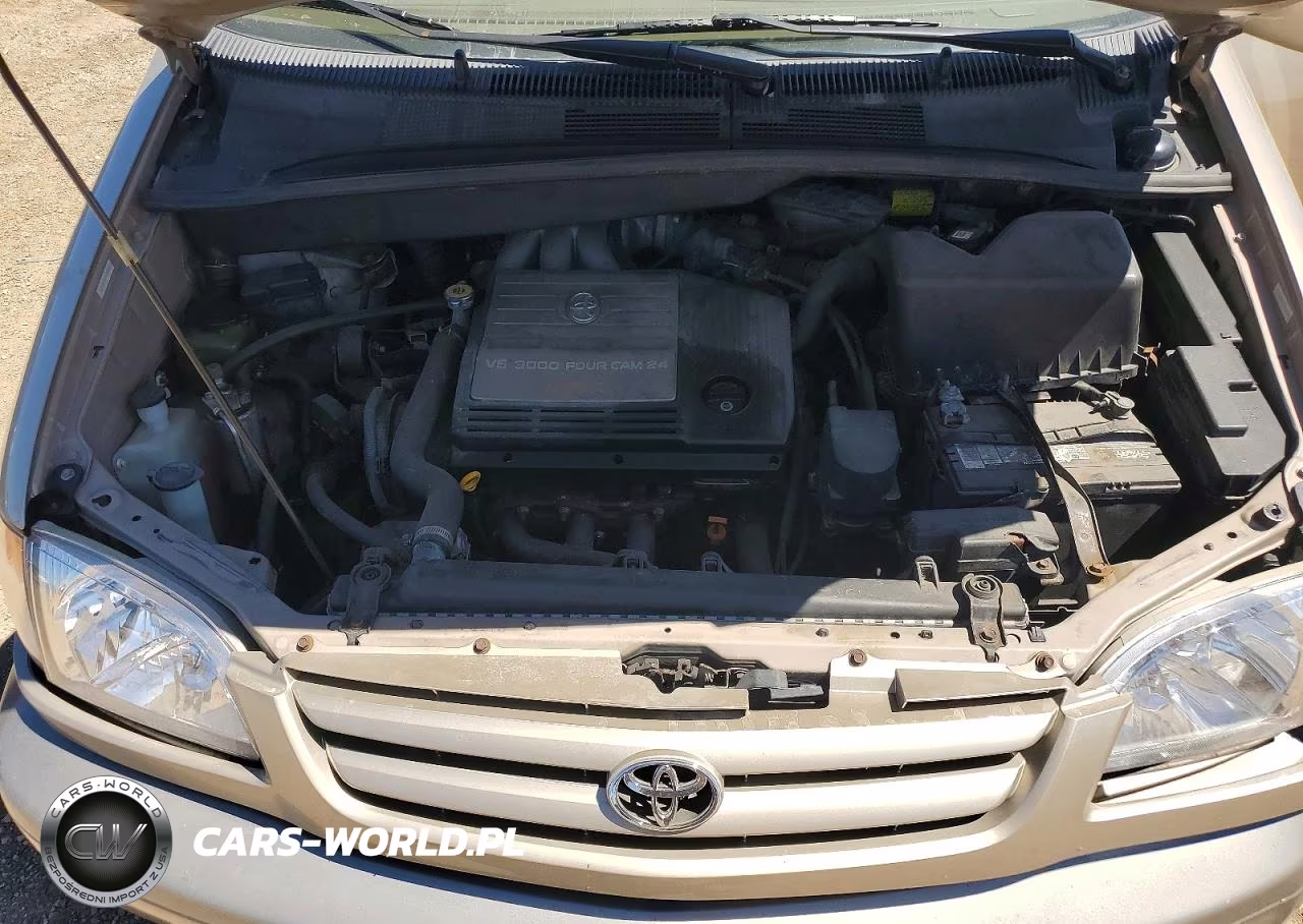 2003 Toyota Sienna Le VIN:4T3ZF13C43U533969 - 12