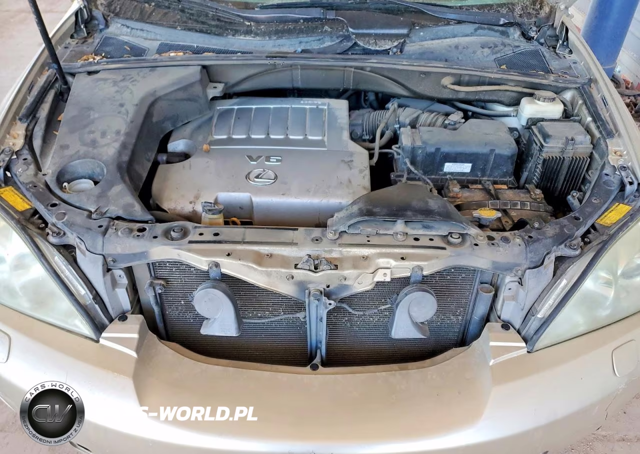 2007 Lexus Rx 350 VIN:2T2HK31U17C037490 - 12