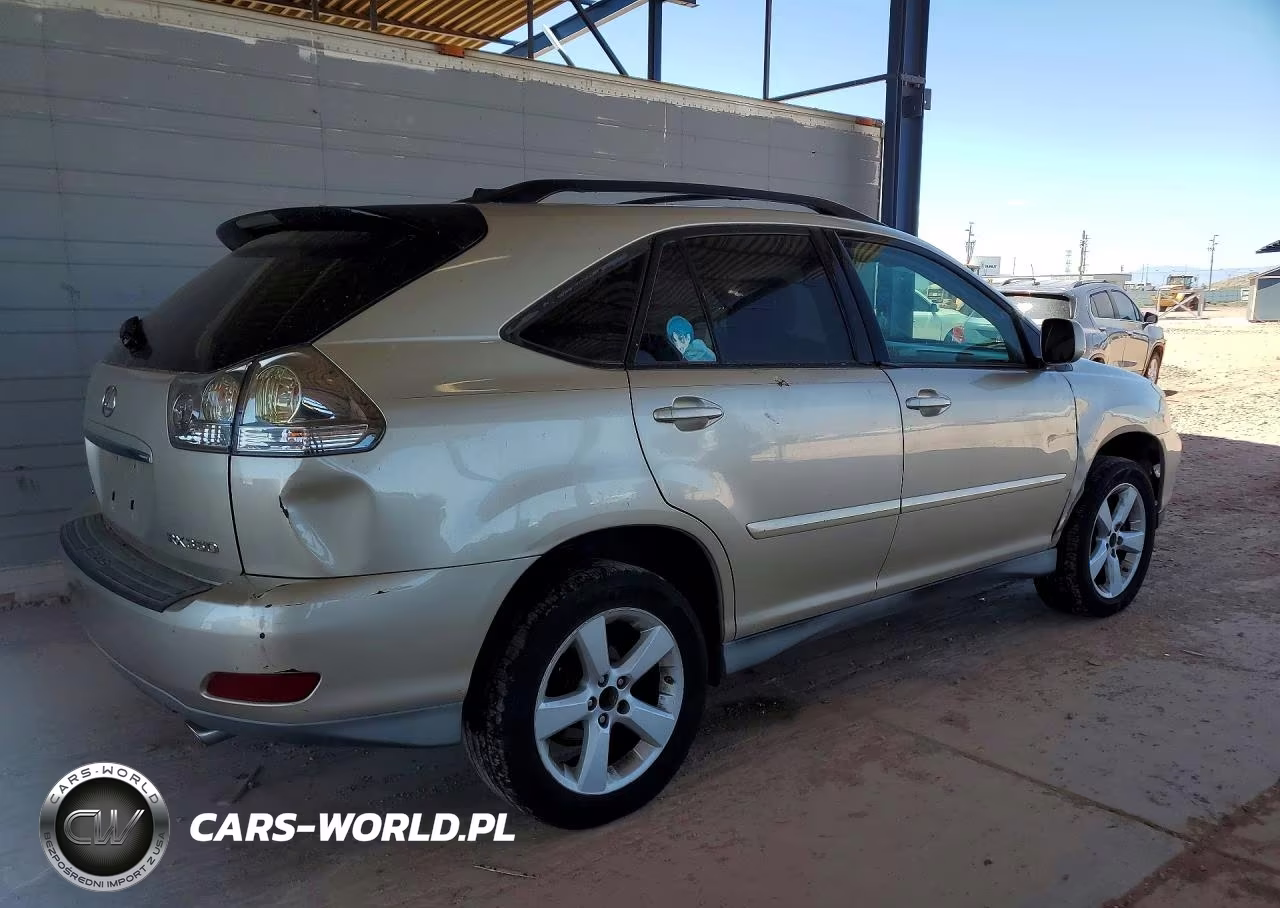 2007 Lexus Rx 350 VIN:2T2HK31U17C037490 - 3