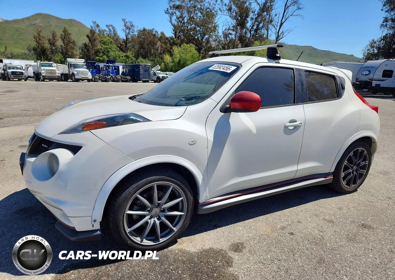 2013 Nissan Juke Nismo Awd