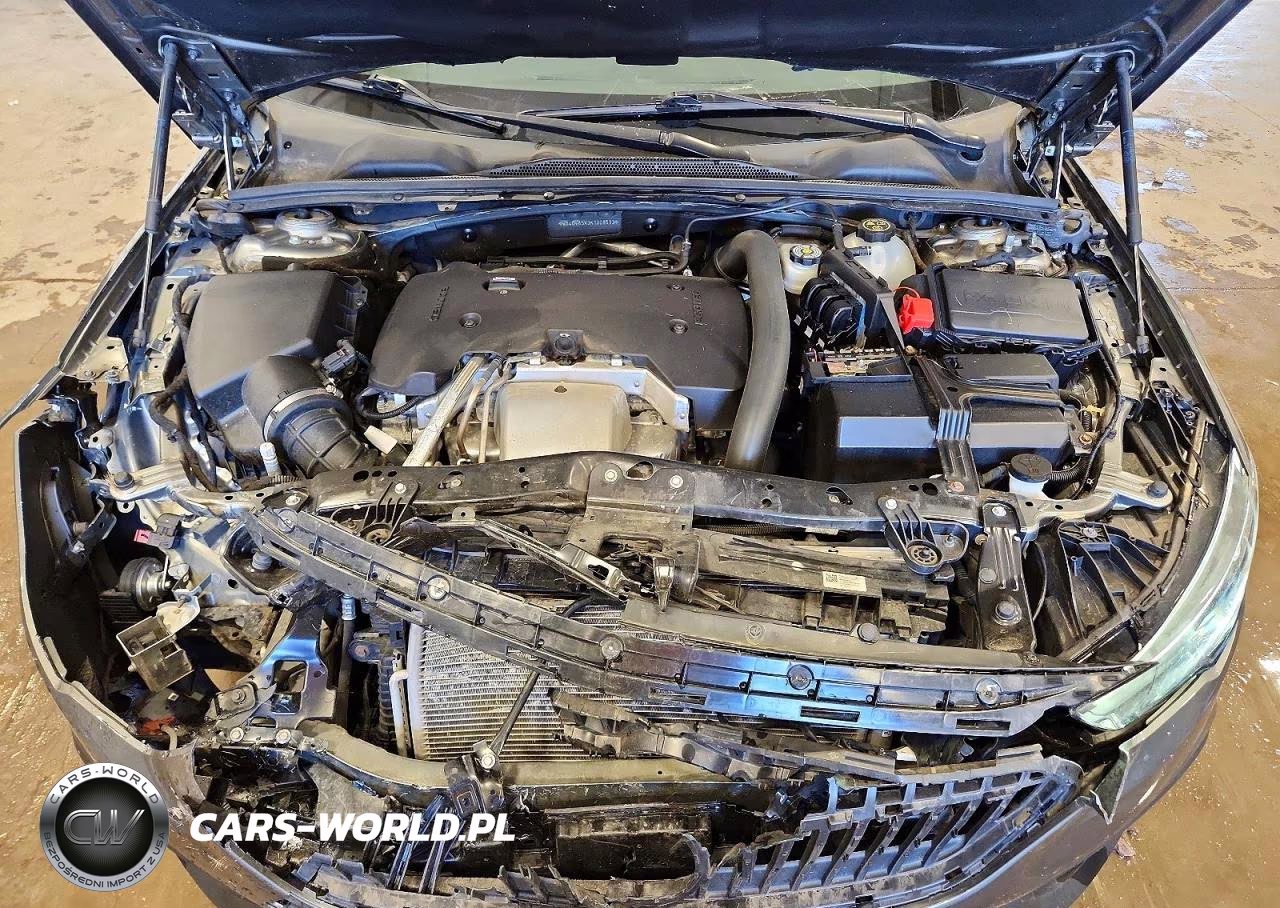2019 Buick Regal Tourx Essence VIN:W04GV8SX3K1008593 - 11