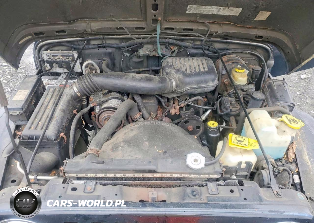 2001 Jeep Wrangler - Tj Se VIN:1J4FA29P61P343207 - 11