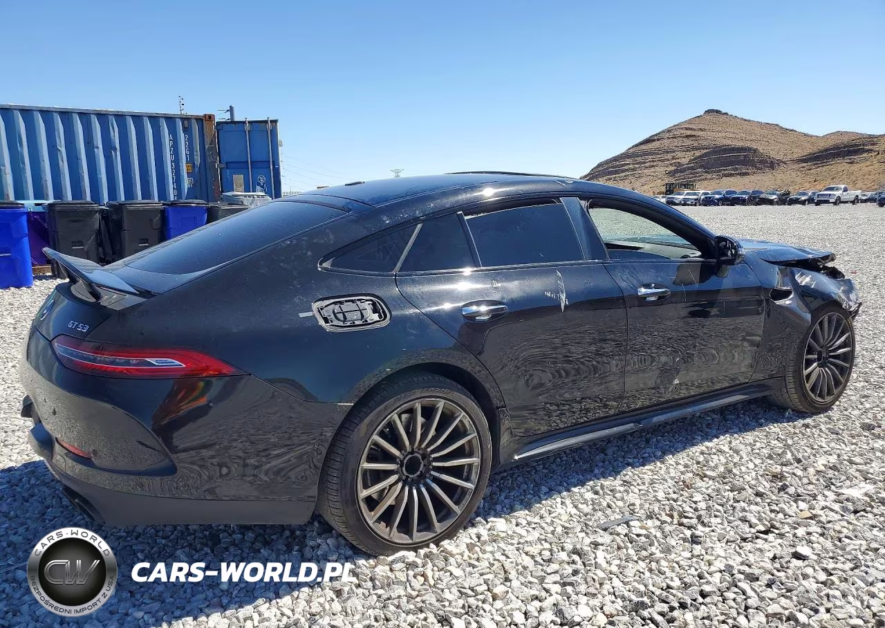 2019 Mercedes-Benz Amg Gt 53 VIN:WDD7X6BB1KA008008 - 3