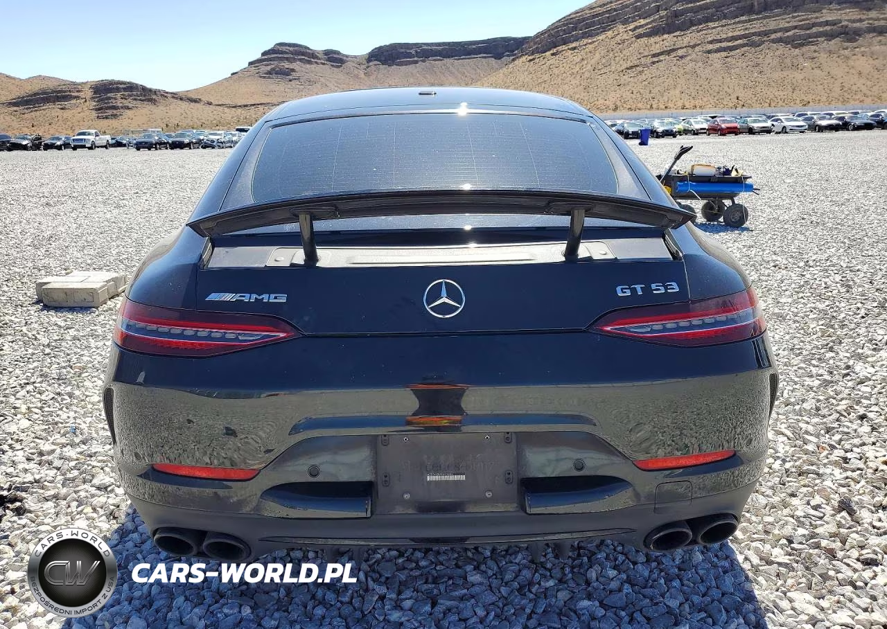 2019 Mercedes-Benz Amg Gt 53 VIN:WDD7X6BB1KA008008 - 6
