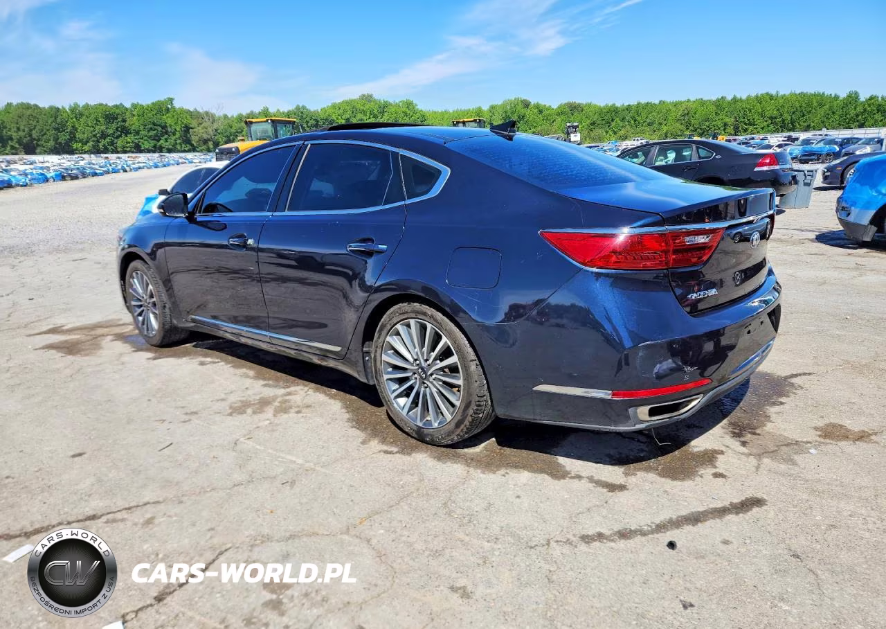 2018 Kia Cadenza Premium VIN:KNALC4J13J5114269 - 2